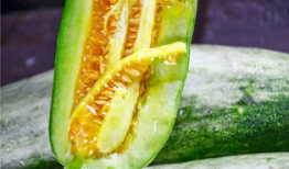 网红圈吃瓜群,揭秘娱乐圈幕后风云