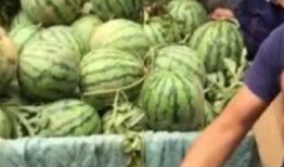 长春网红吃瓜事件,揭秘网络舆论的风暴与真相