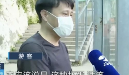 网红吃瓜前线,揭秘娱乐圈最新热点事件