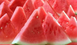 速看天气吃瓜网,揭秘天气与吃瓜的奇妙关系